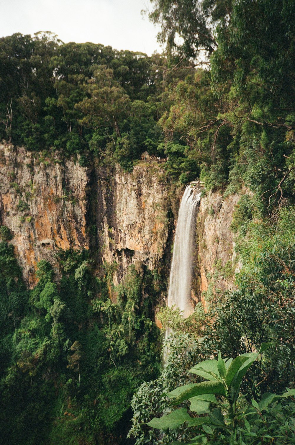 a waterfall in a forest