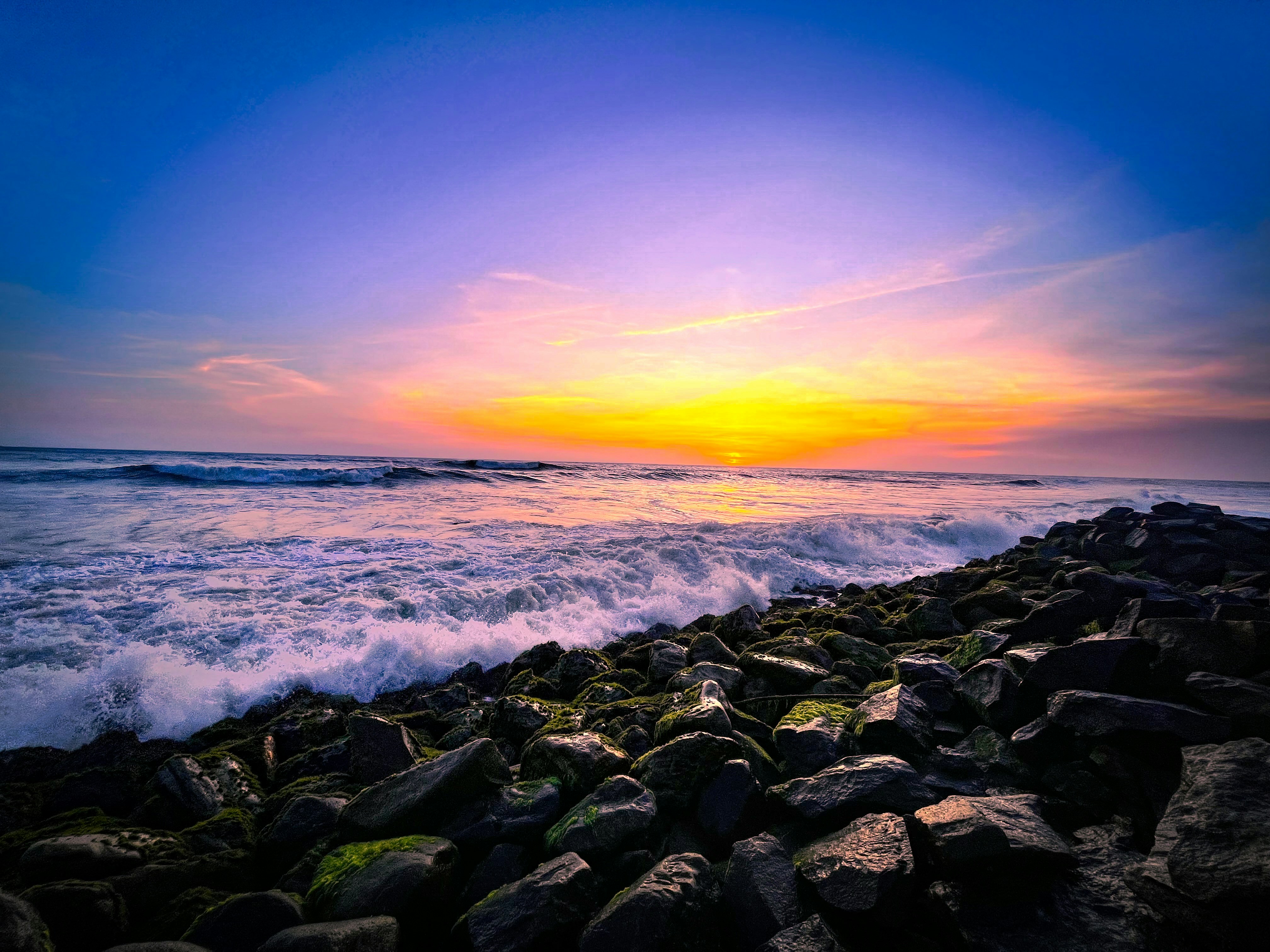 Photo by calypso_cam_