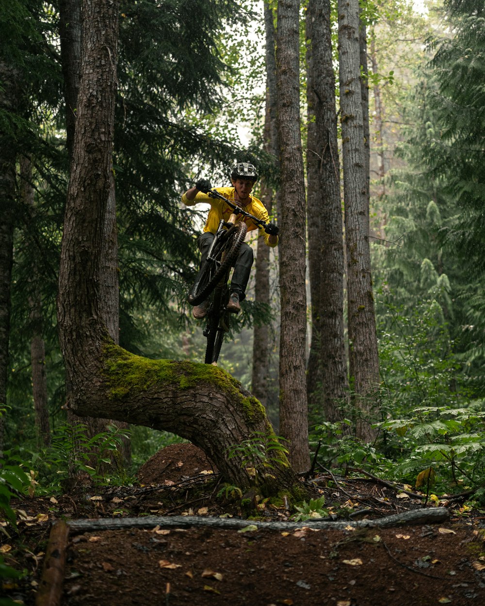 a person riding a bike over a fallen tree in the woods