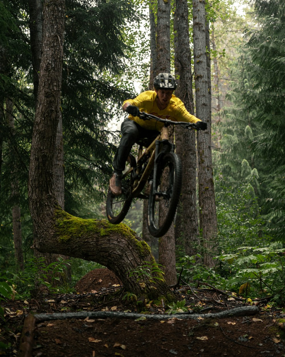 a person riding a bike over a fallen tree