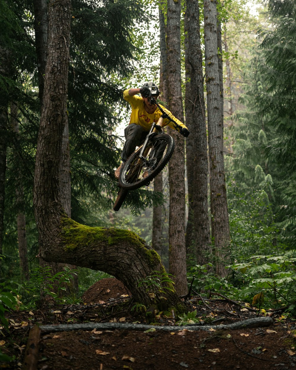 a person riding a bike over a fallen tree