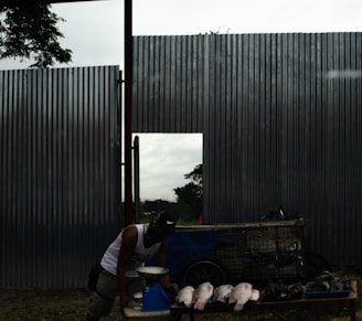 A person wearing a cap and mask is standing next to a cart containing several fish placed on a table. Nearby, a blue weighing scale is present. The background features a large corrugated metal fence with an open section, revealing trees and a cloudy sky.