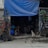 A makeshift shelter with a blue tarp covering. Inside, a person is sitting on a chair, while another is lying in a hammock. A small dog sits alertly at the entrance. Various tools and cables are visible, and small potted plants are arranged on shelving.