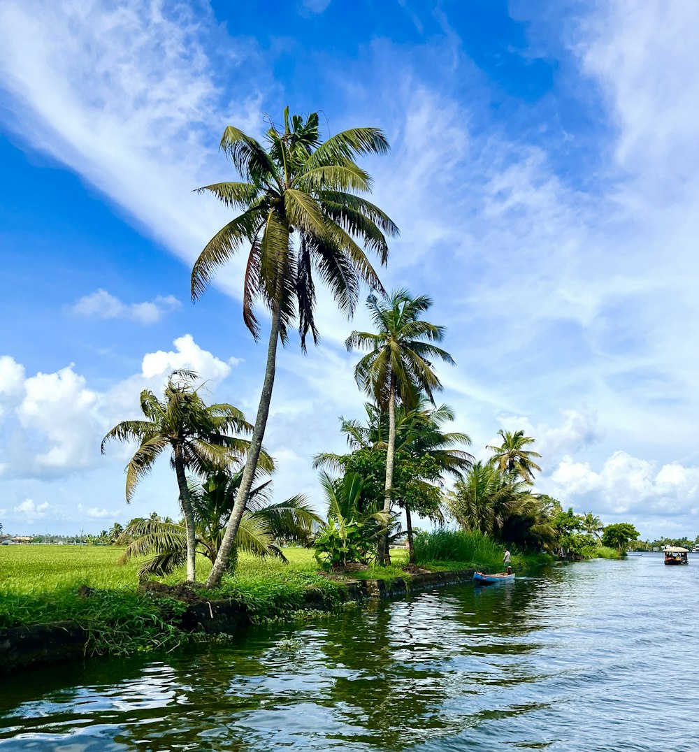 a body of water with trees and grass around it