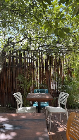A serene outdoor seating area featuring a wooden table surrounded by four plastic chairs. Overhead, a lush canopy of green leaves provides shade, while rustic bamboo fencing adds to the natural ambiance. String lights are hung among the branches, suggesting a cozy atmosphere in the evening.