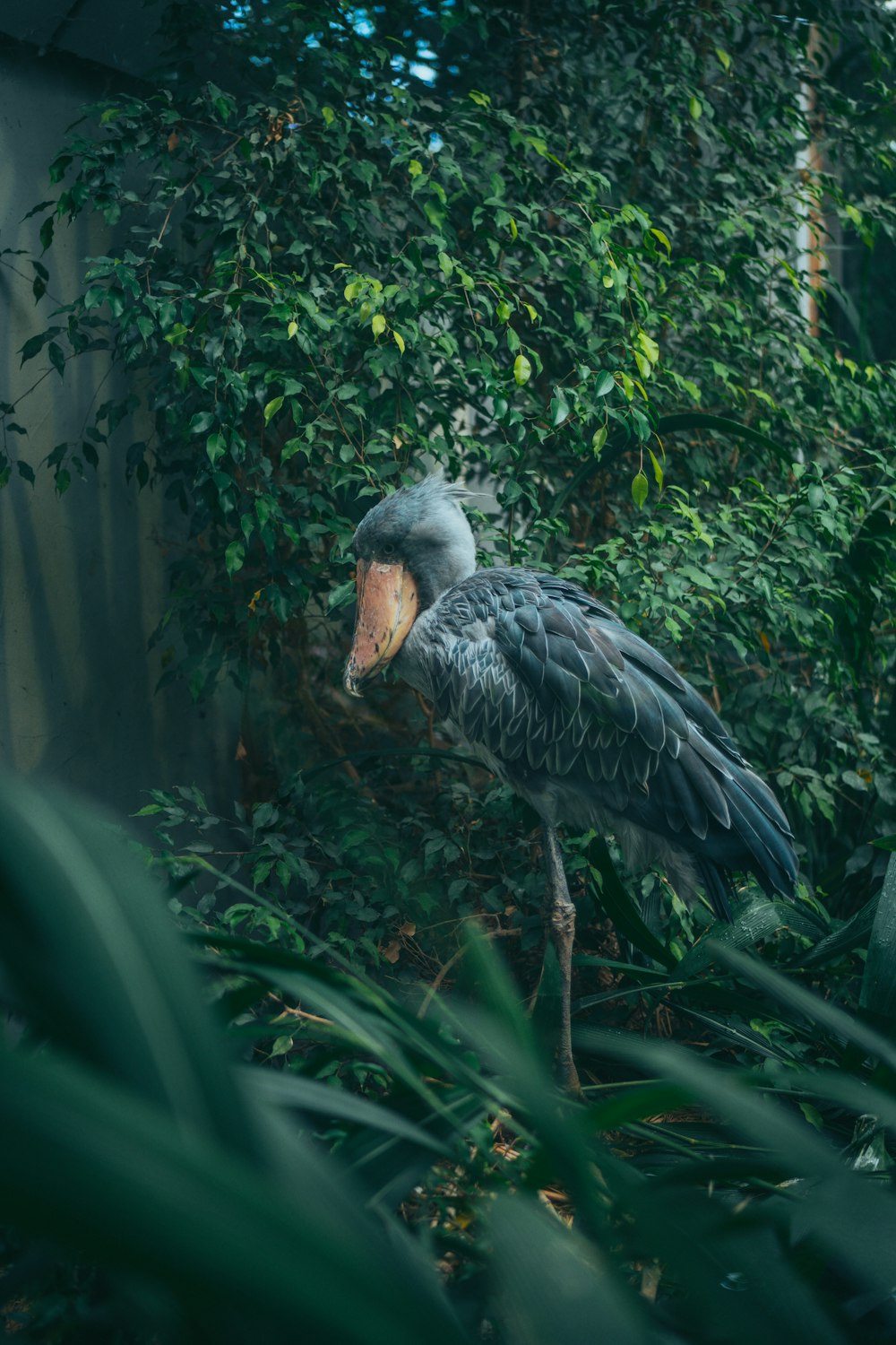 Un pájaro parado en una rama