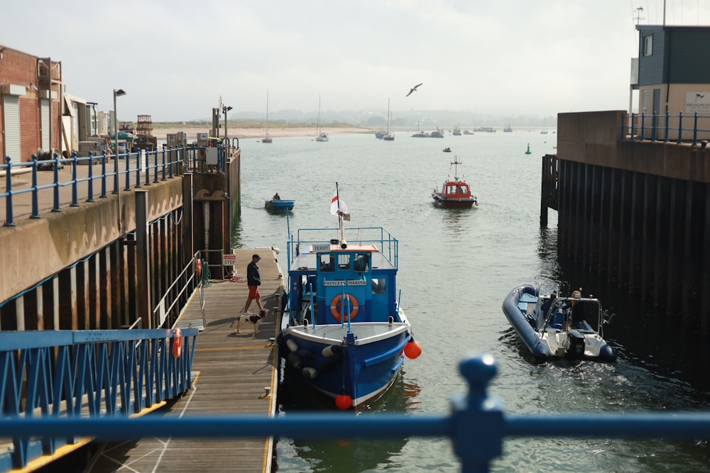 boats in the water