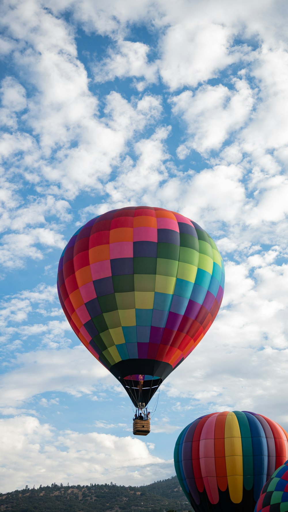 a group of colorful hot air balloons