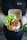A person is holding a container filled with a variety of foods which includes fresh green lettuce, tomato, cucumber slices, rice, and a mixture of fried or sautéed elements. The person is wearing a dark apron over a light-colored, patterned long-sleeve shirt.