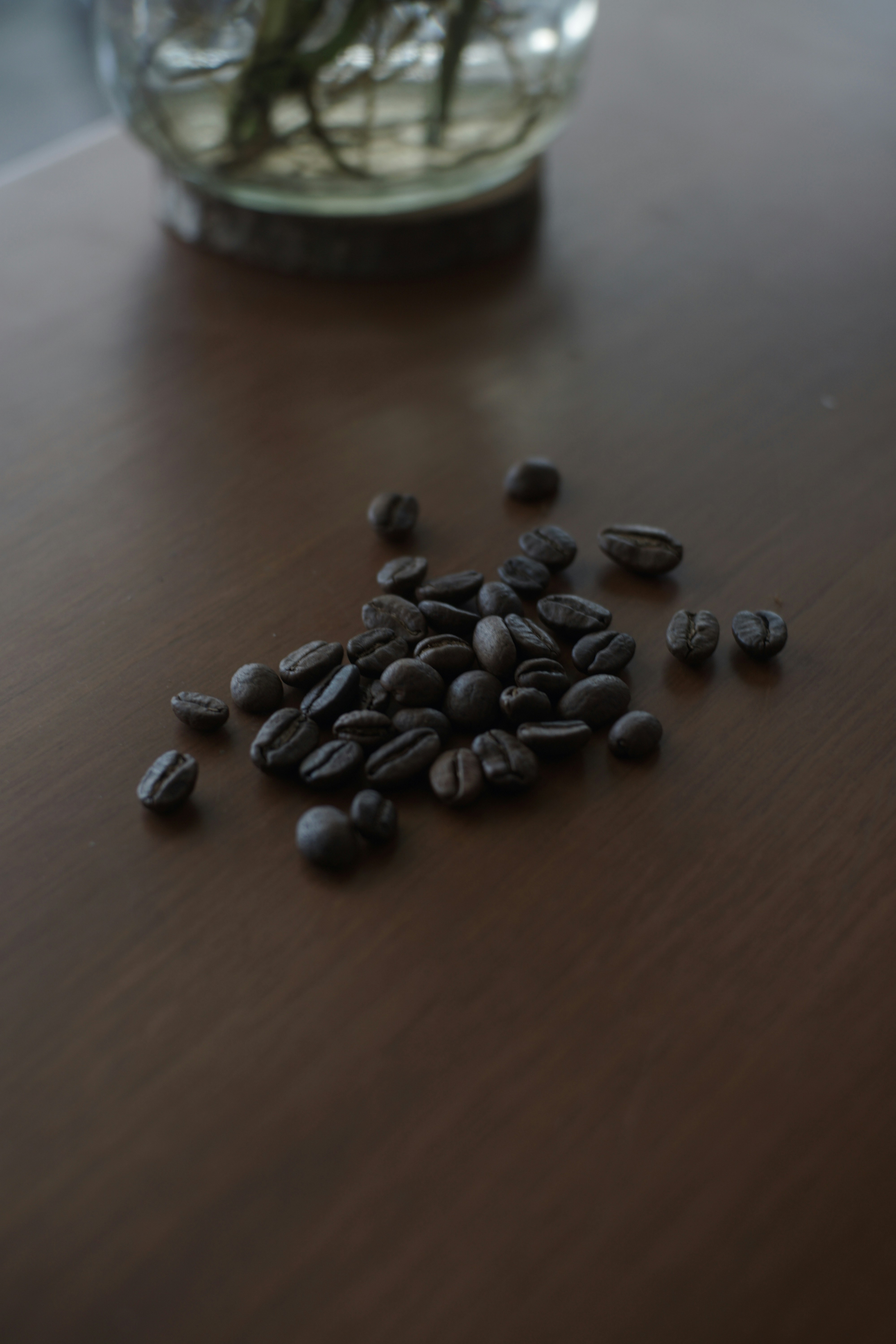 Bulk Coffee Filter Papers