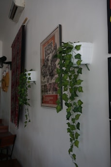 A wall adorned with a vintage-style poster, partially covered by cascading green vines from two white plant pots. To the side, a patterned tapestry adds texture, while minimalistic furniture occupies the corner.