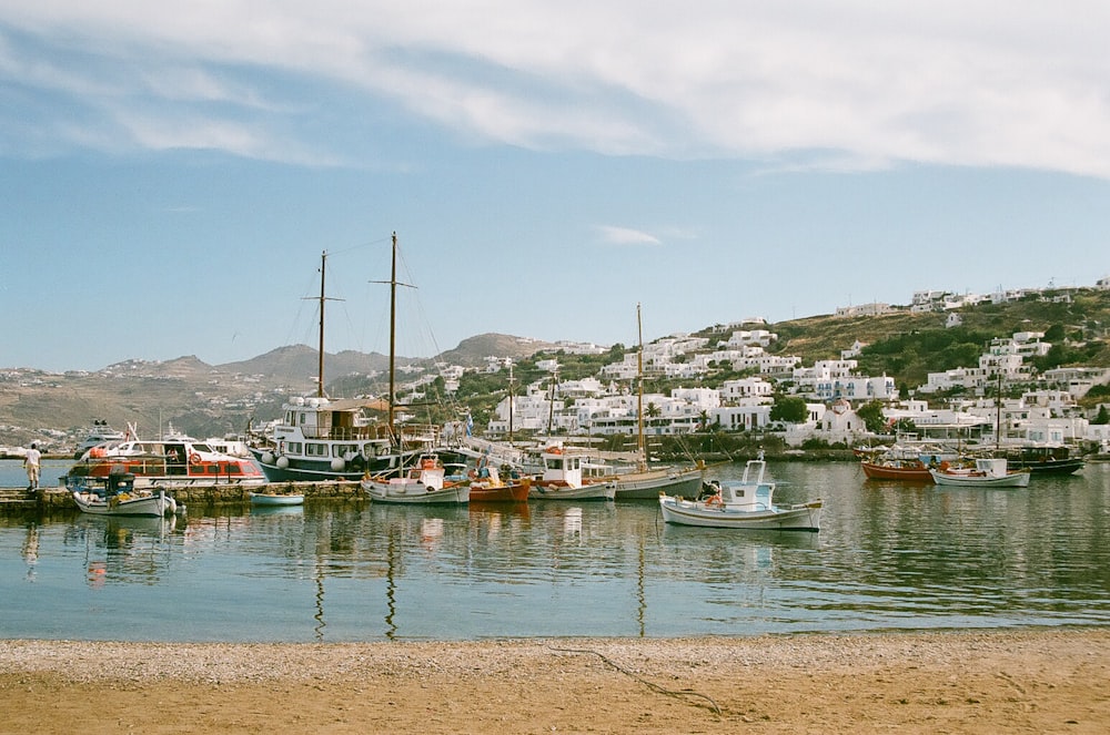 boats in the water