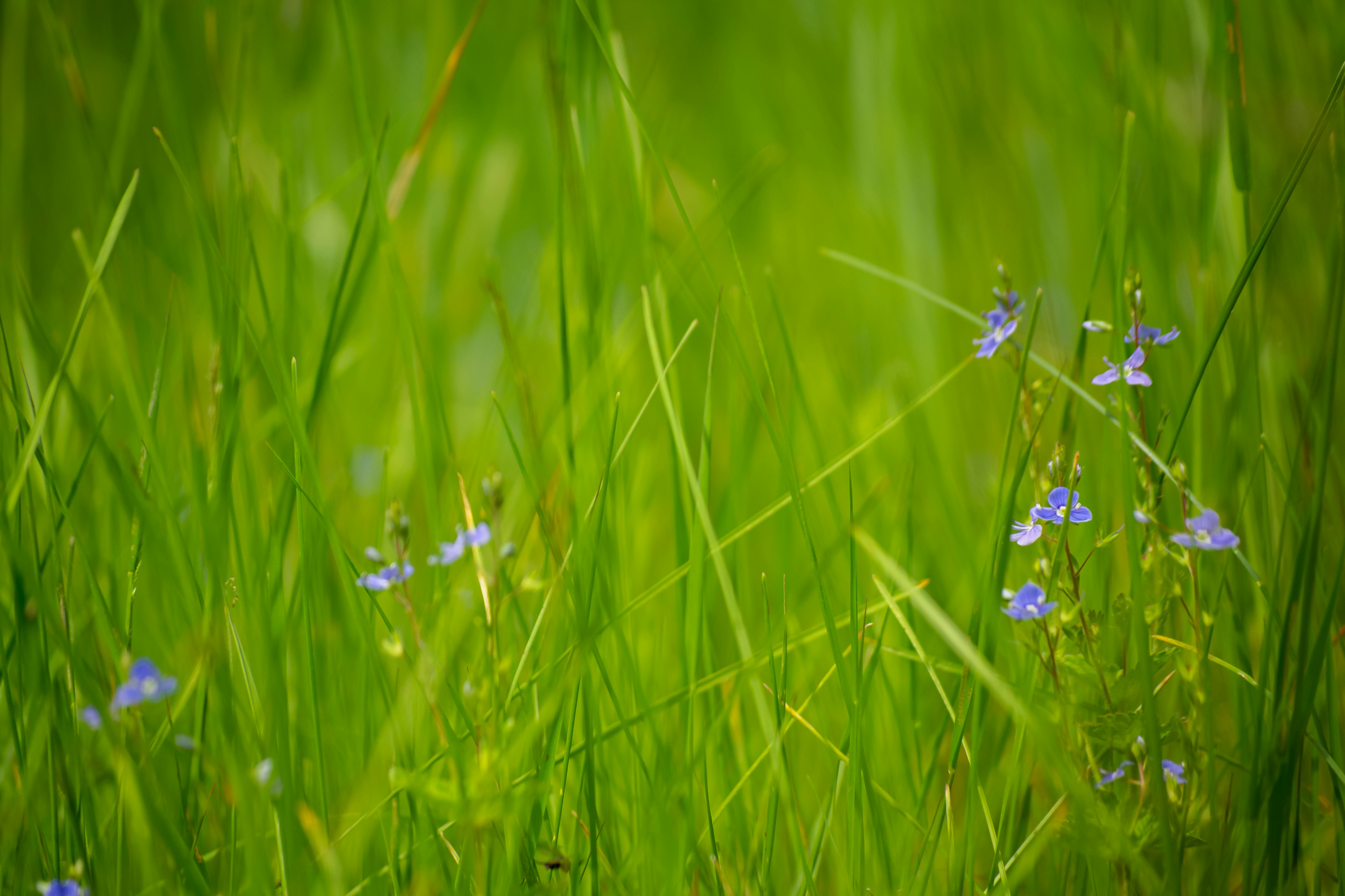 Photo by nikkitenkos