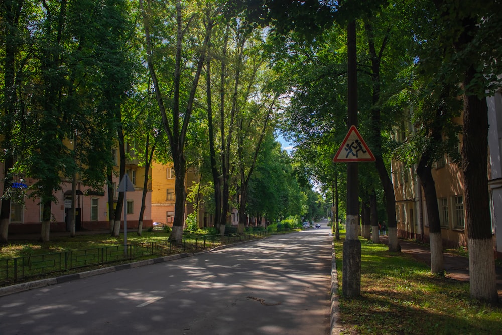 a road with trees on the side