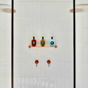 Contemporary shower enclosure with a minimalist look.