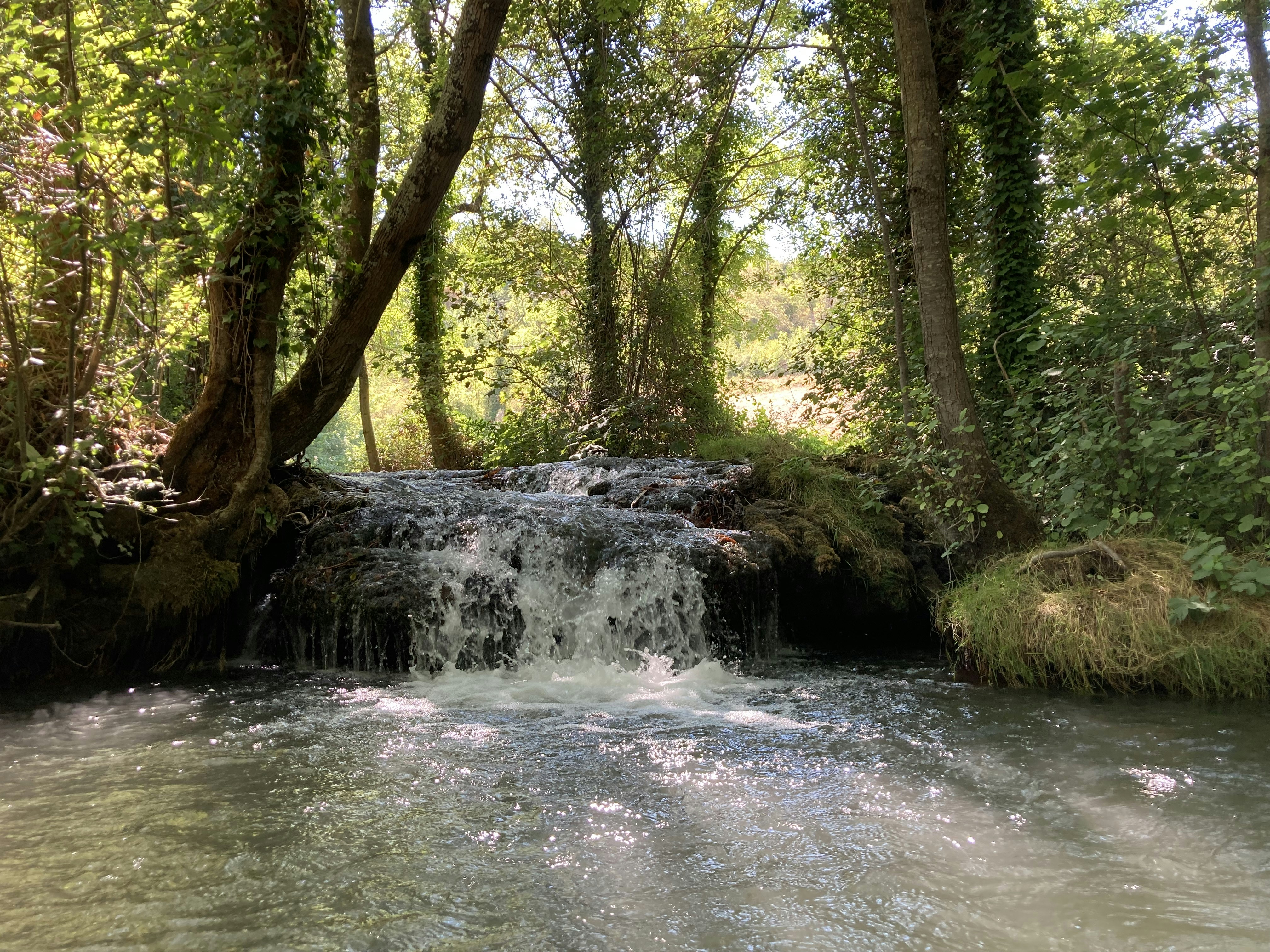 Photo by desirechristine