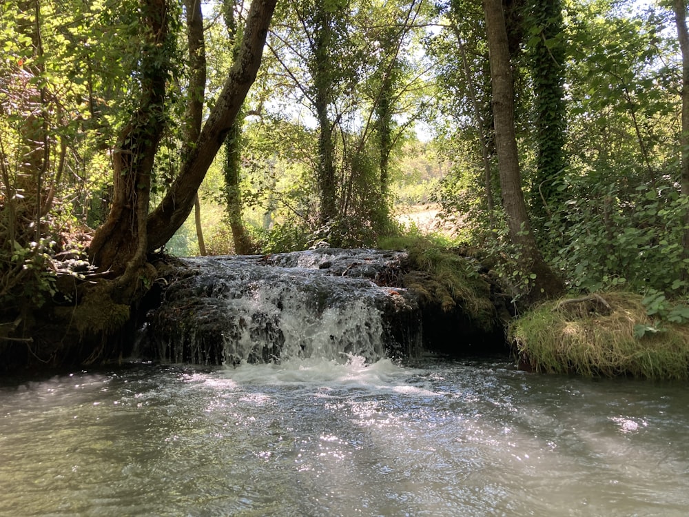 une rivière avec une cascade et des arbres