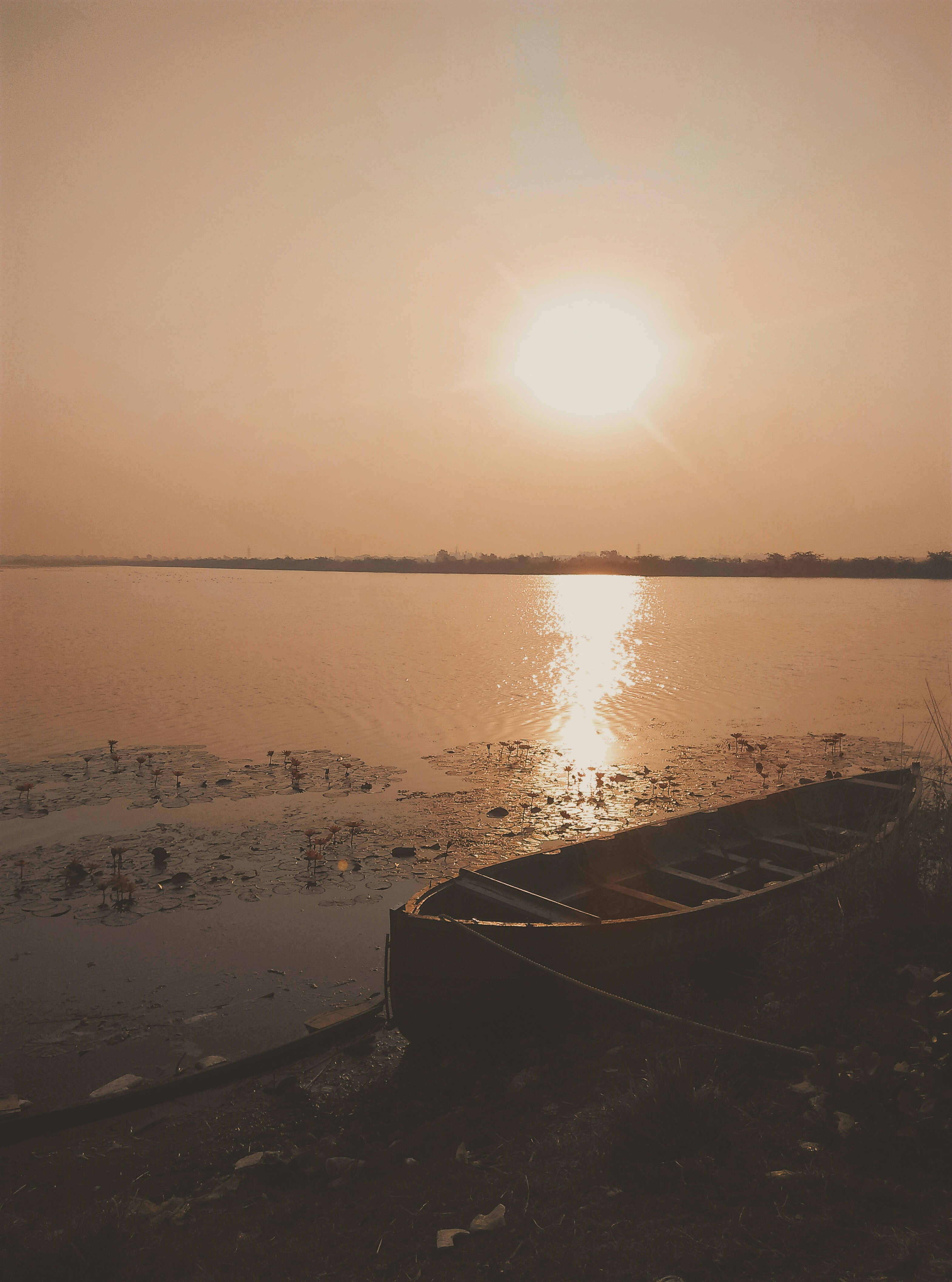 Photo by pratikchitte