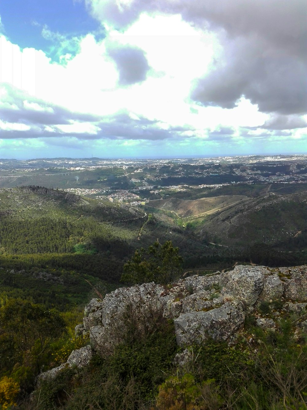 a landscape with trees and a body of water in the distance