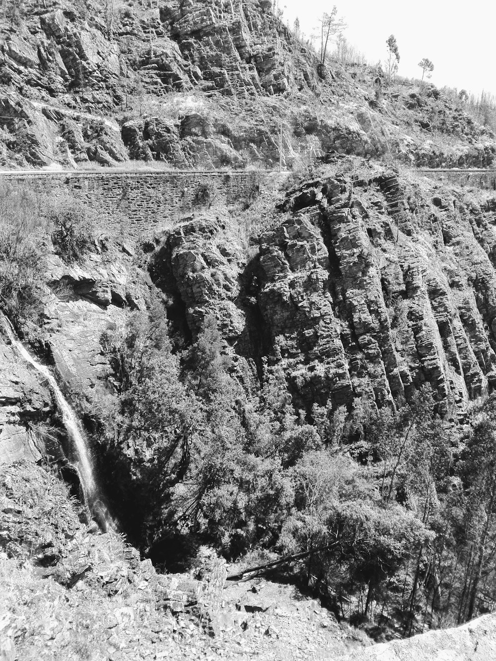 Ein Schwarz-Weiß-Foto eines Berges mit Bäumen