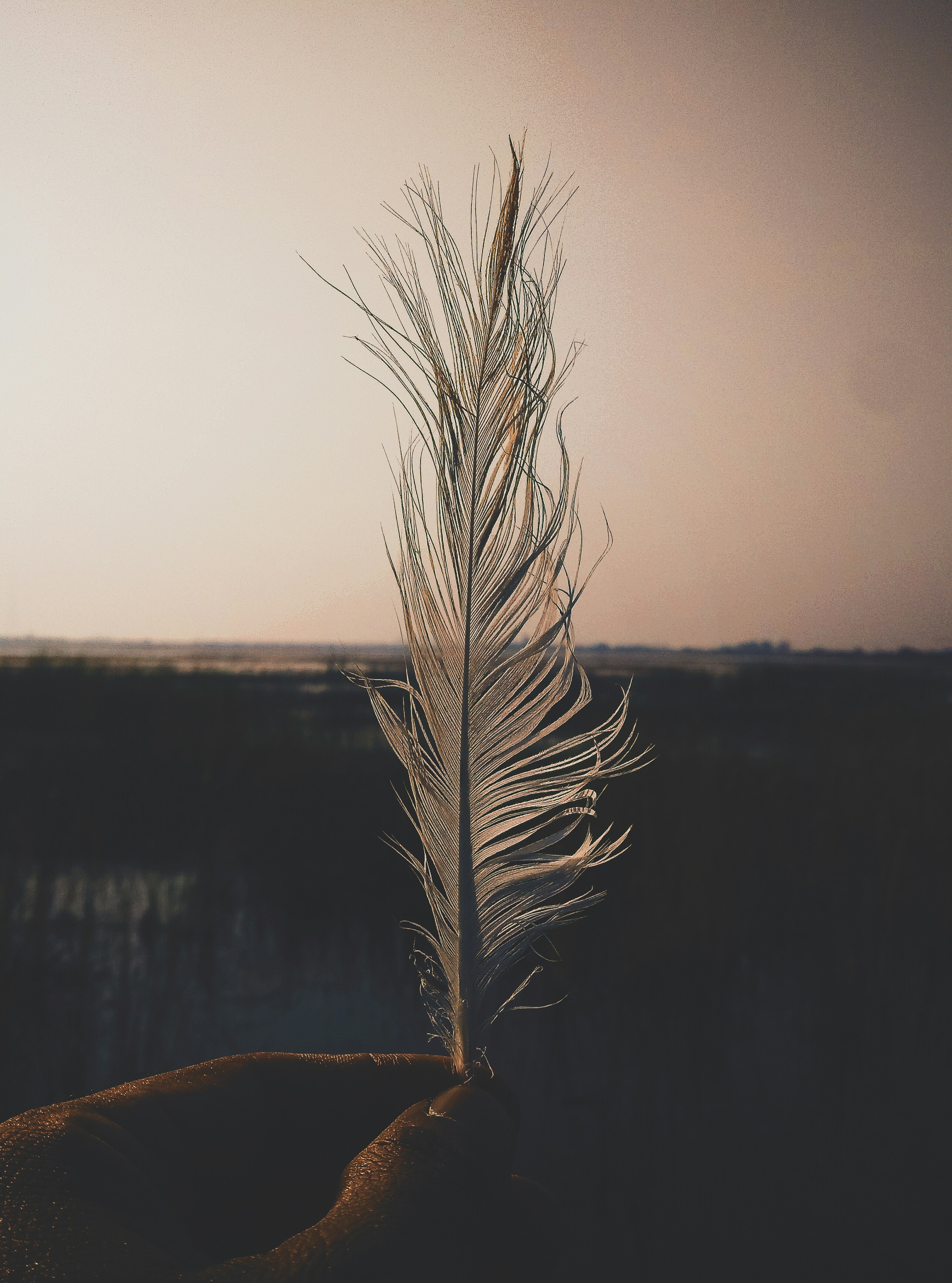 Photo by pratikchitte