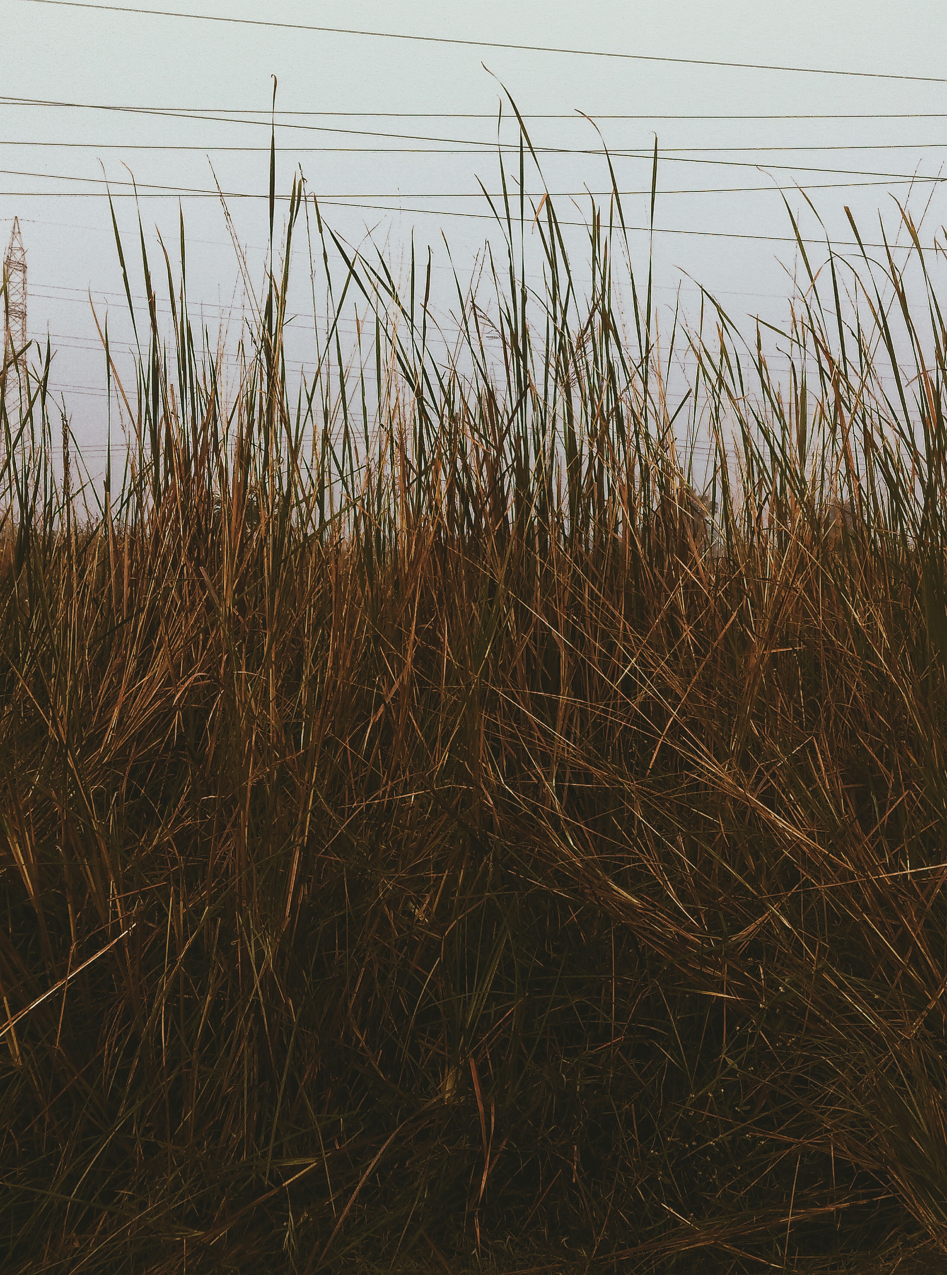 Photo by pratikchitte