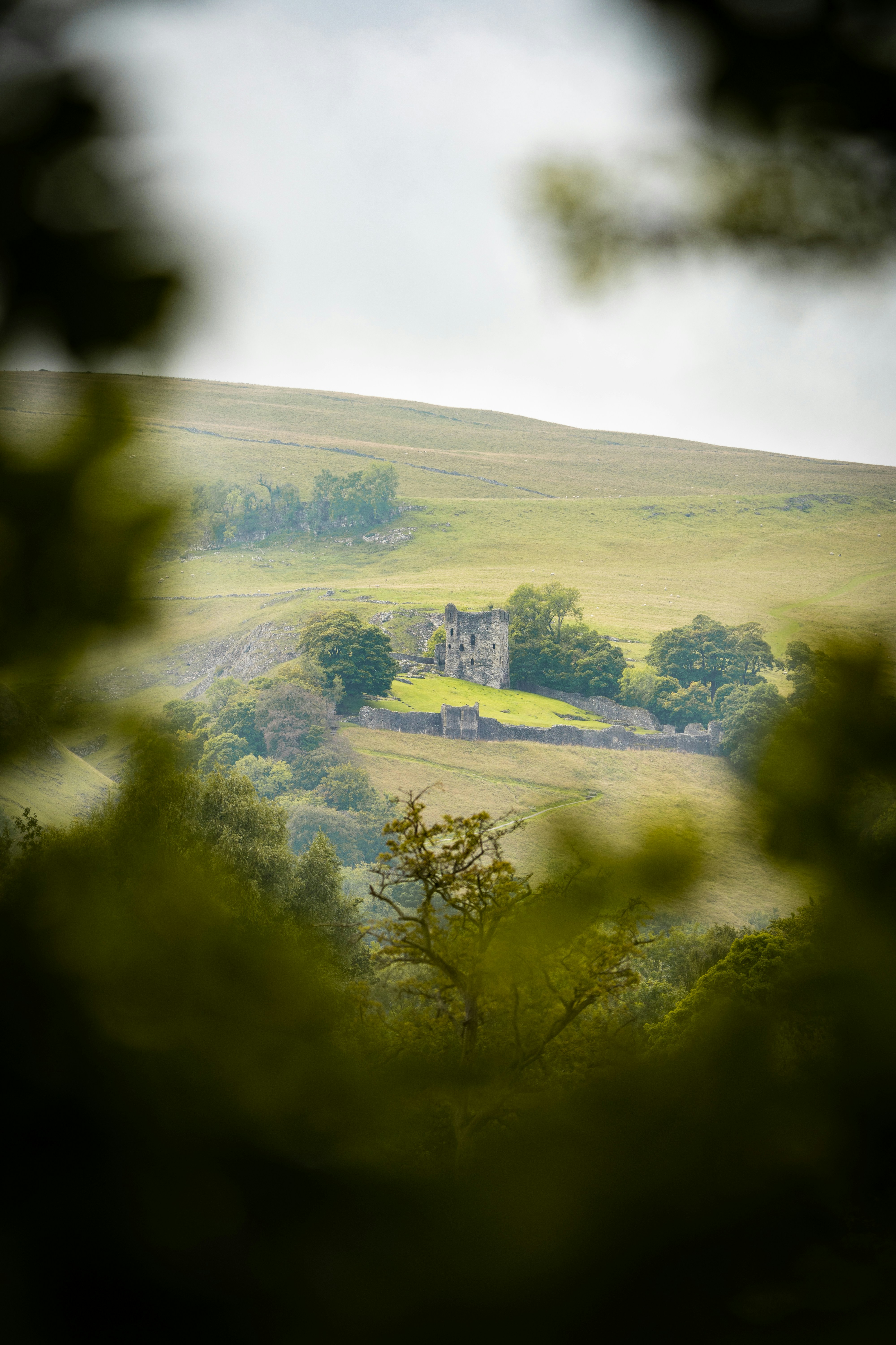 Scotland's Wild Beauty: From Cities to Highlands