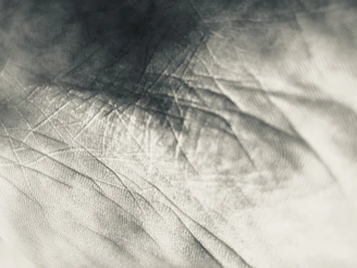 Close-up of textured plith design with intricate lines and shadows.