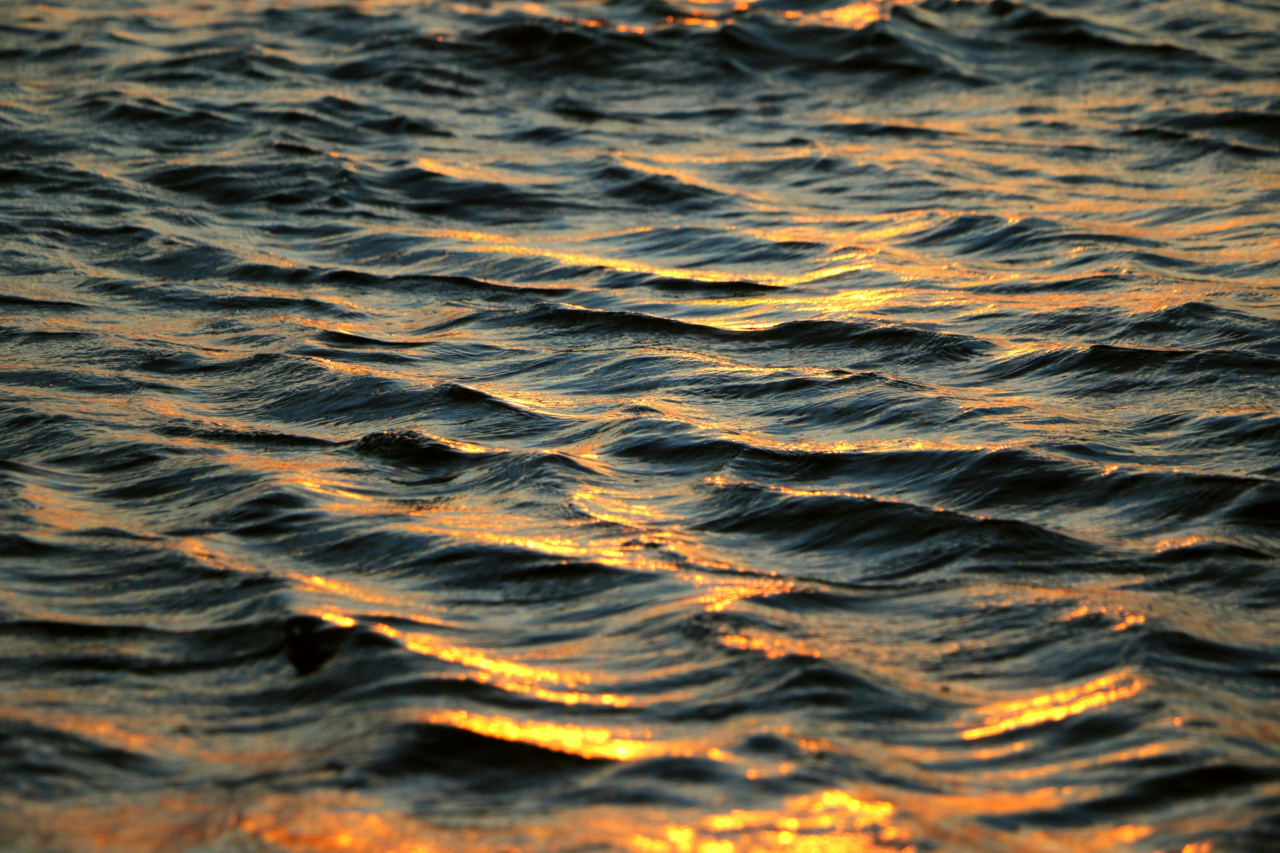 Photo by haim_charbit18