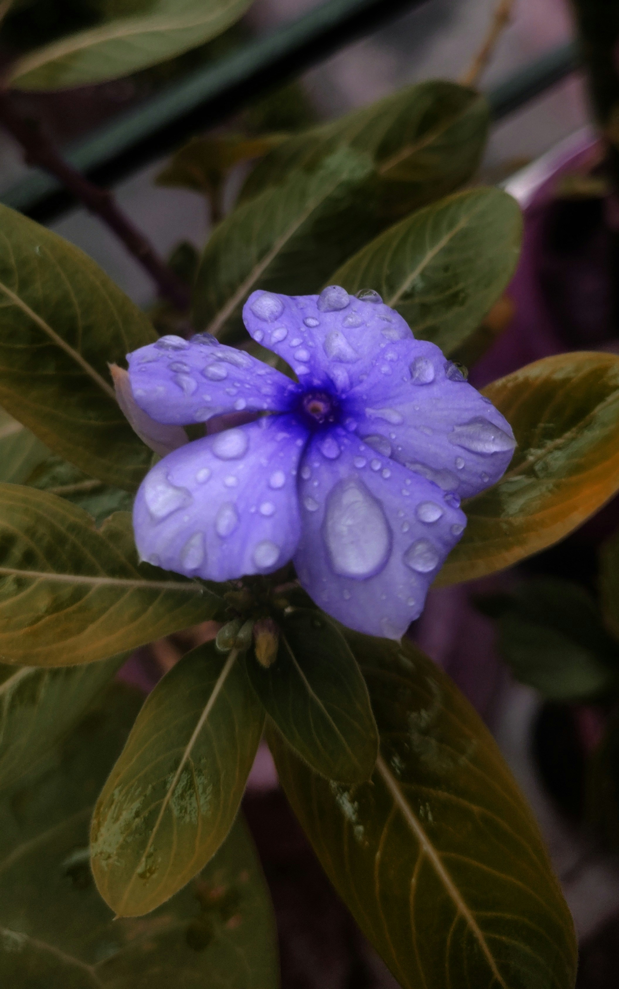 Photo by abhijeet310