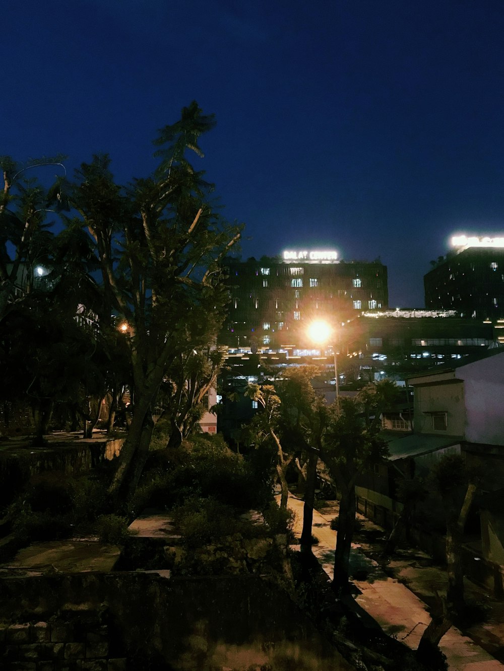 a group of trees and buildings at night