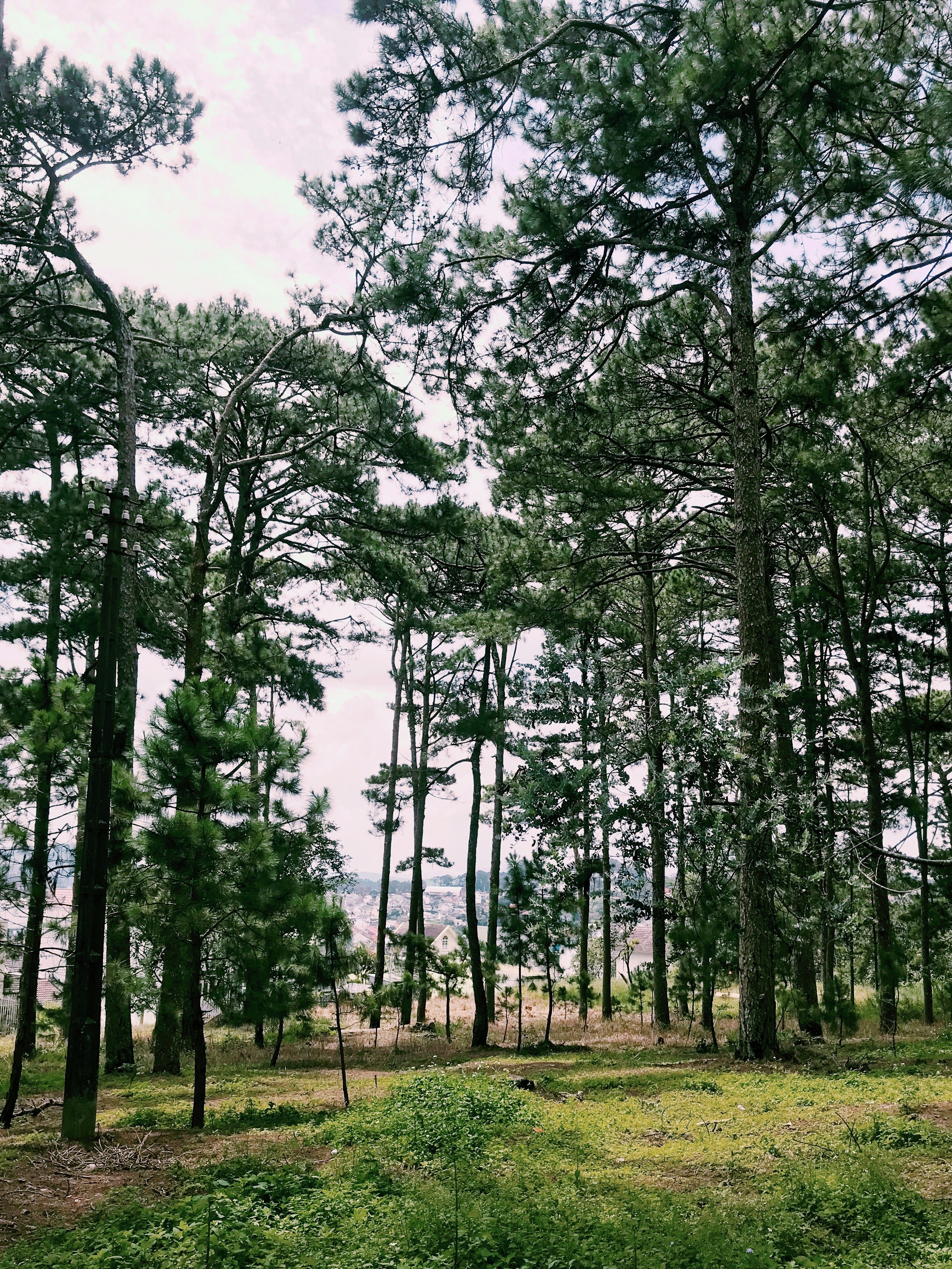 Photo by oanhchuplinhtinh