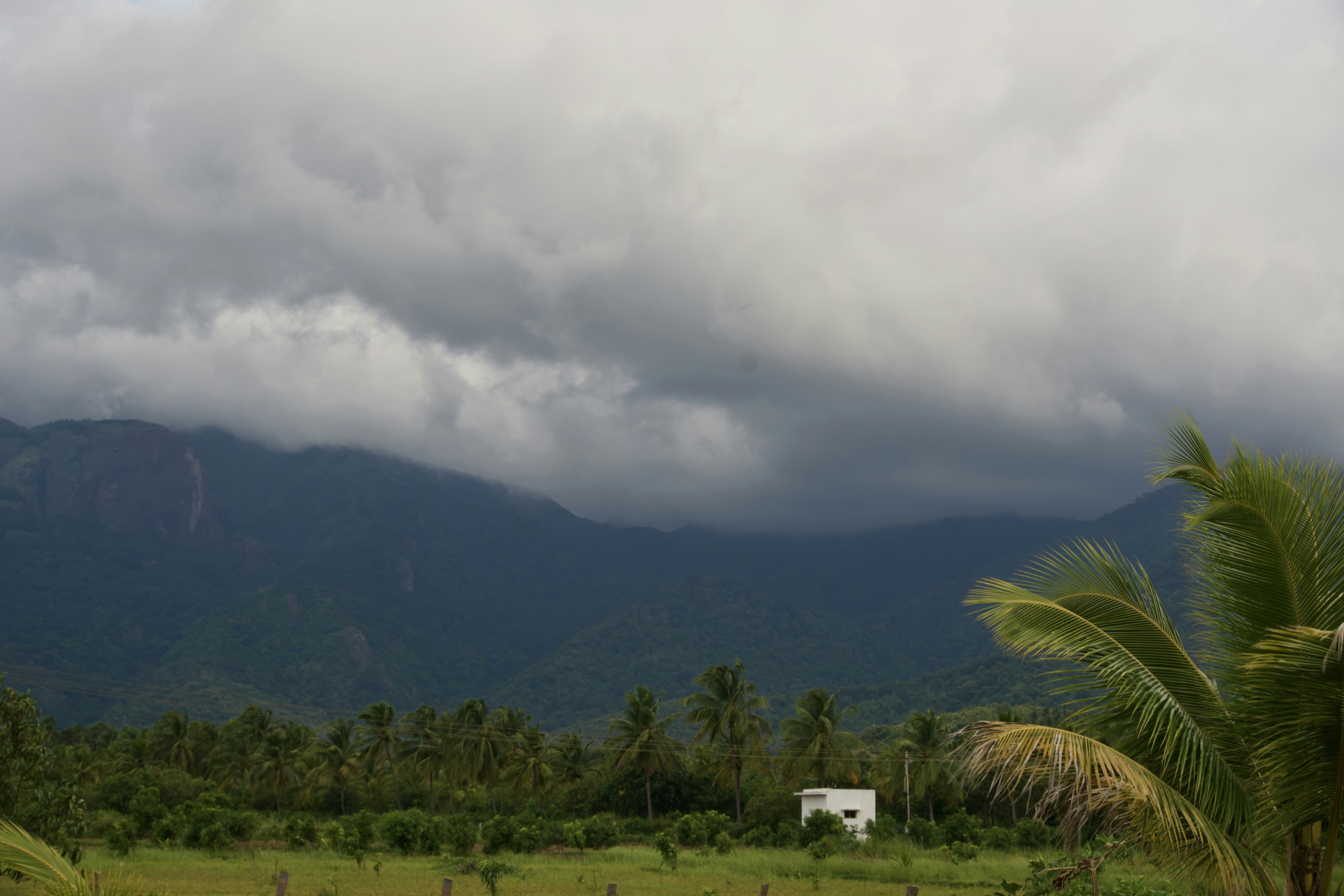 Photo by raghul_ayyasamy