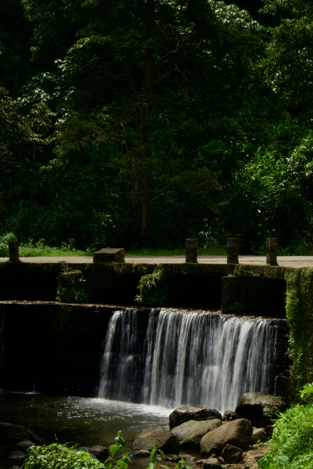 a waterfall in a park