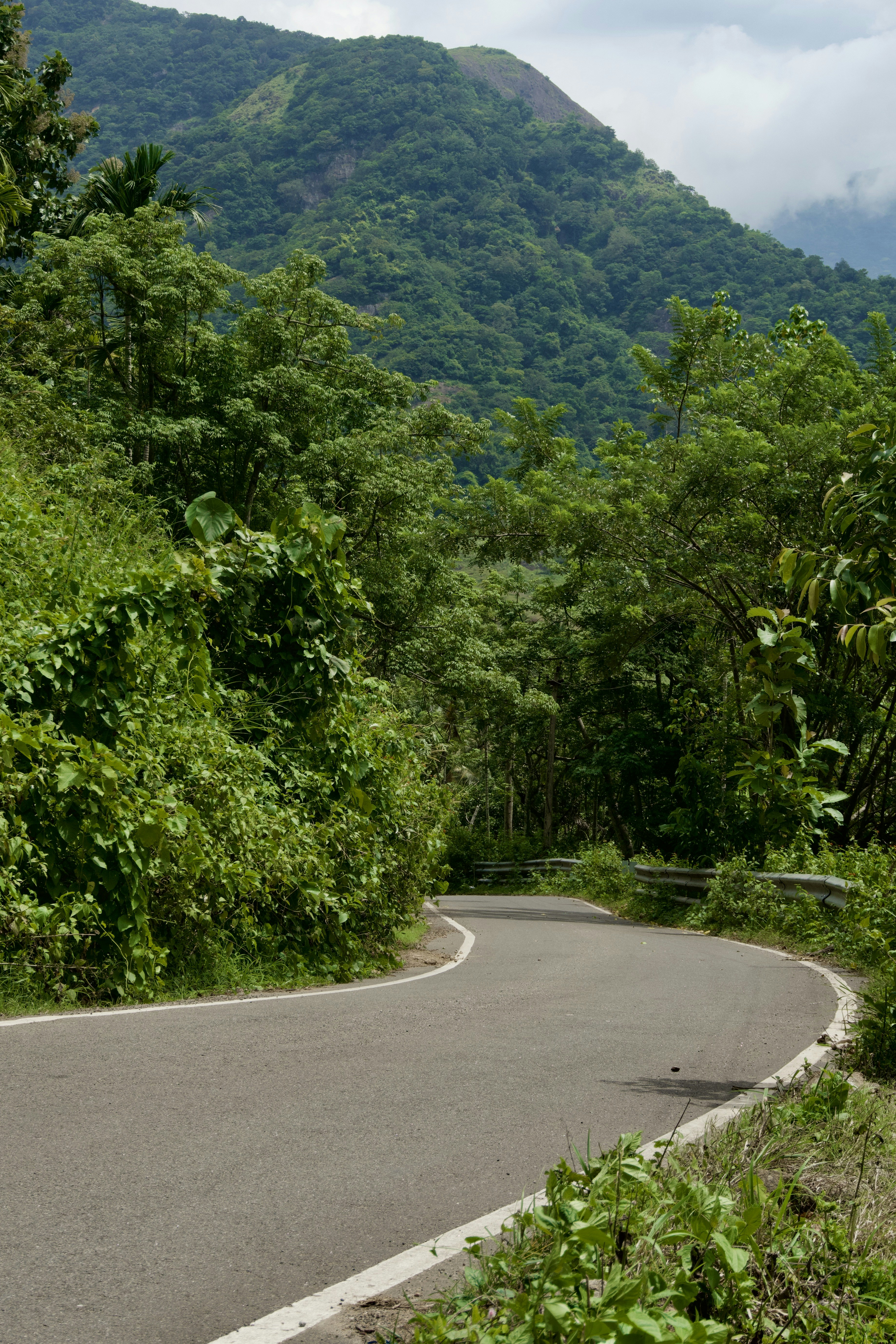 Photo by raghul_ayyasamy