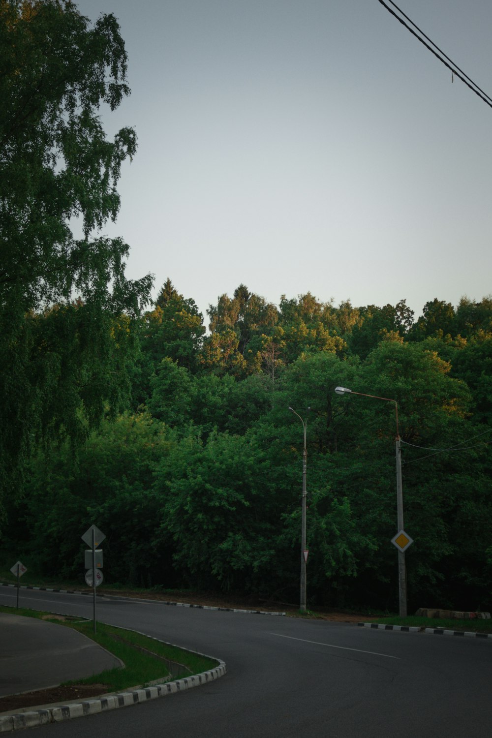 a road with trees on the side