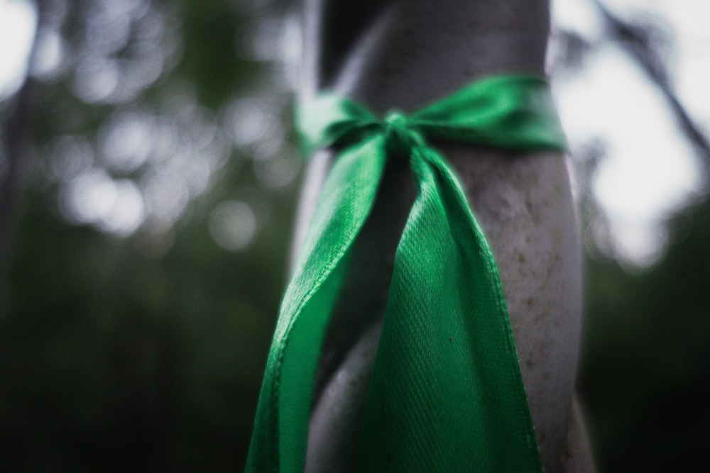 a close up of a green leaf