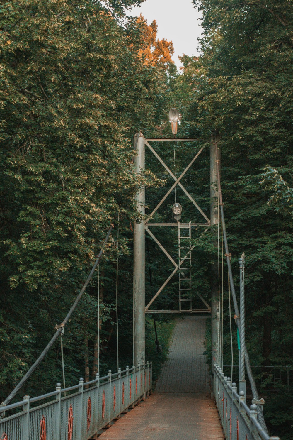 a bridge with a walkway and trees on either side of it