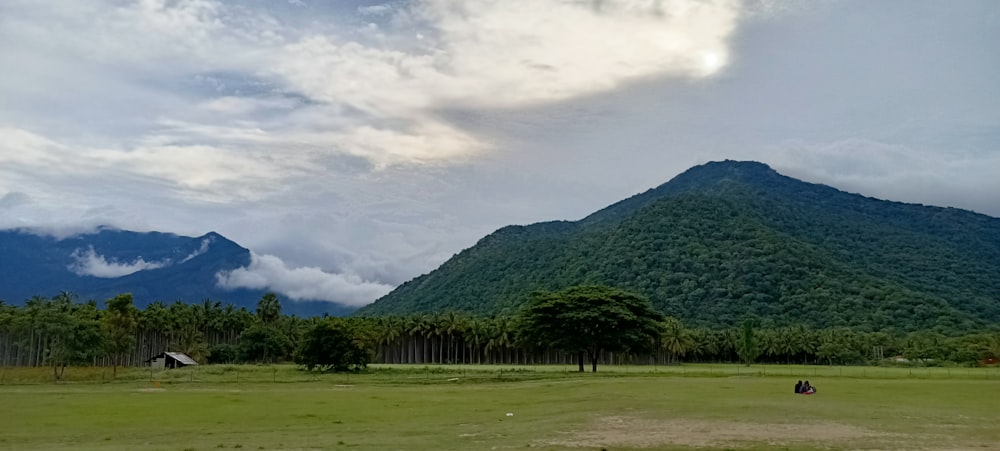 a large green field with trees and a mountain in the background