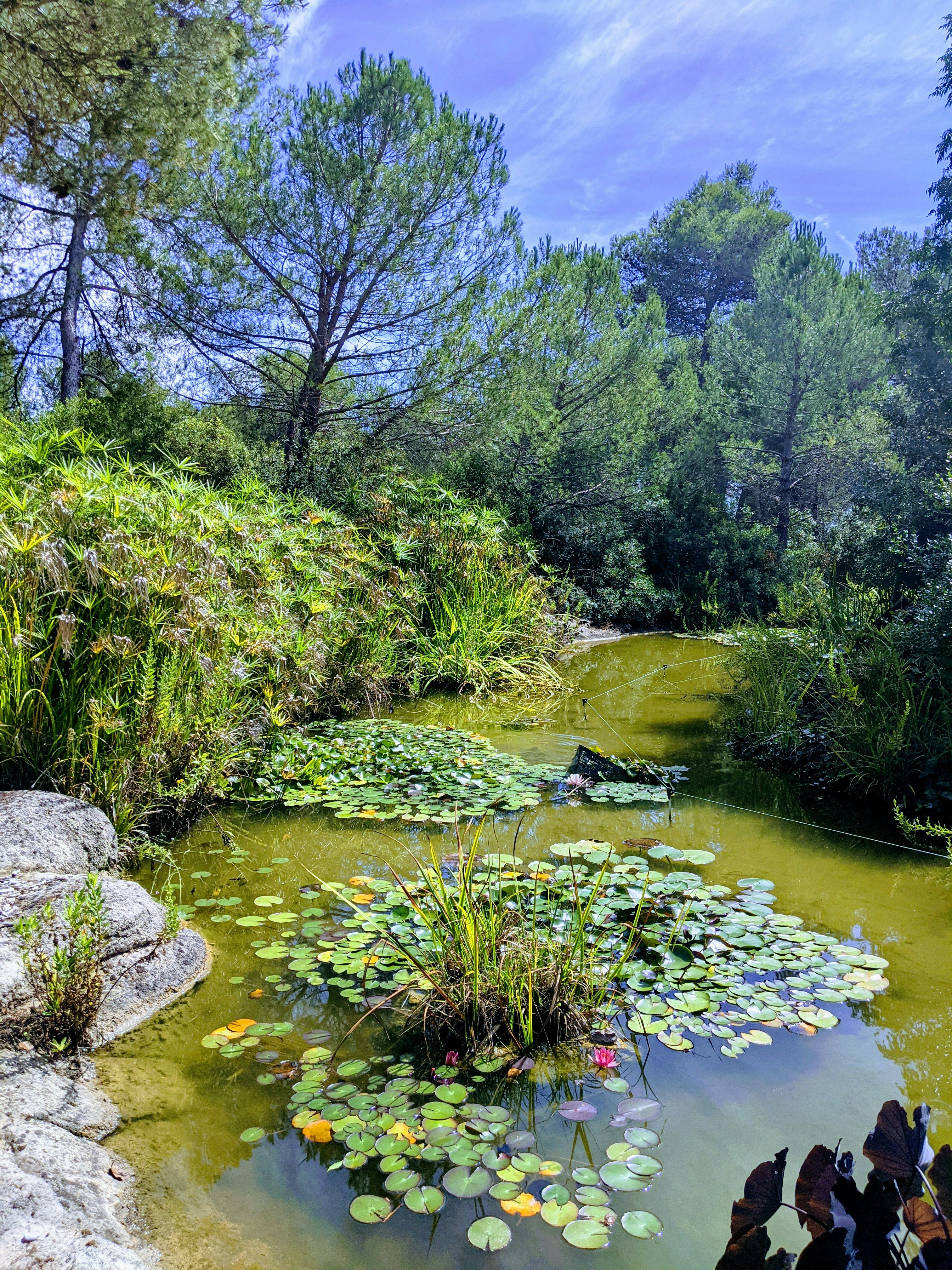 Photo by laetitiabphotographe