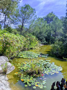 Watershed management pond created by Pukaar Udaipur in Rajasthan, India under Permaculture Farming