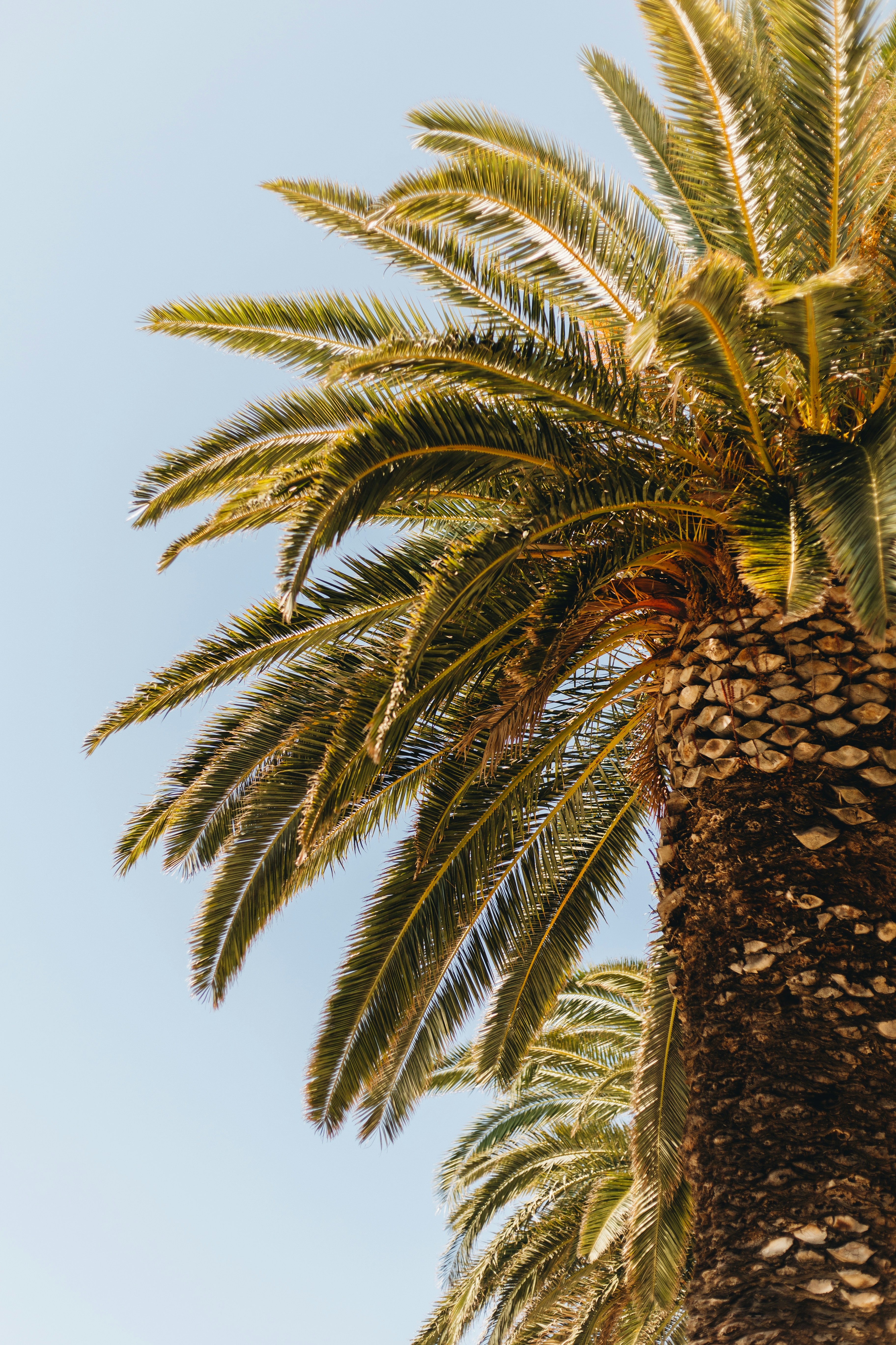 Photo by timowielink