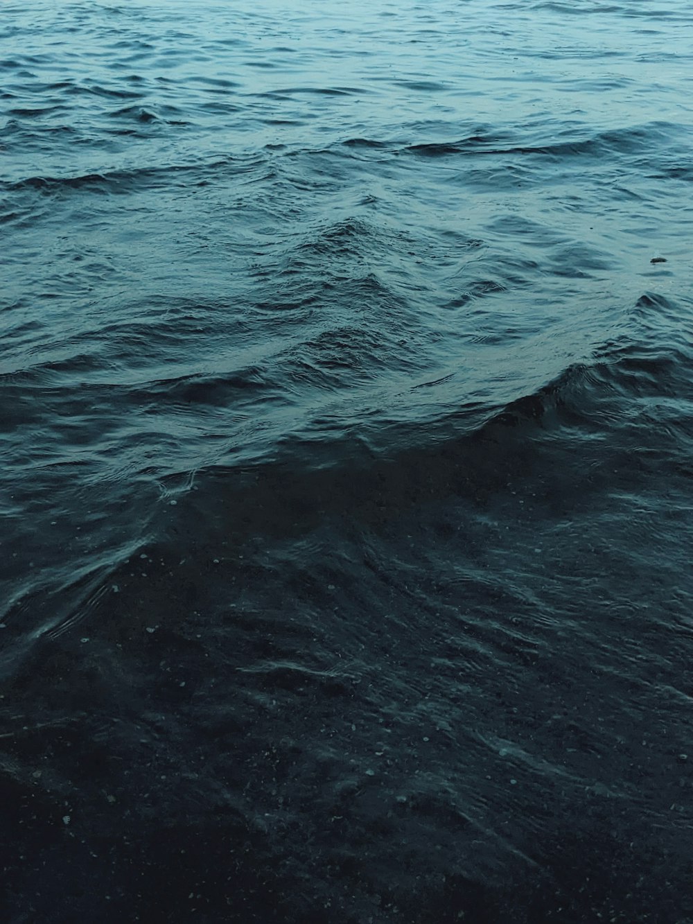 un cuerpo de agua con olas