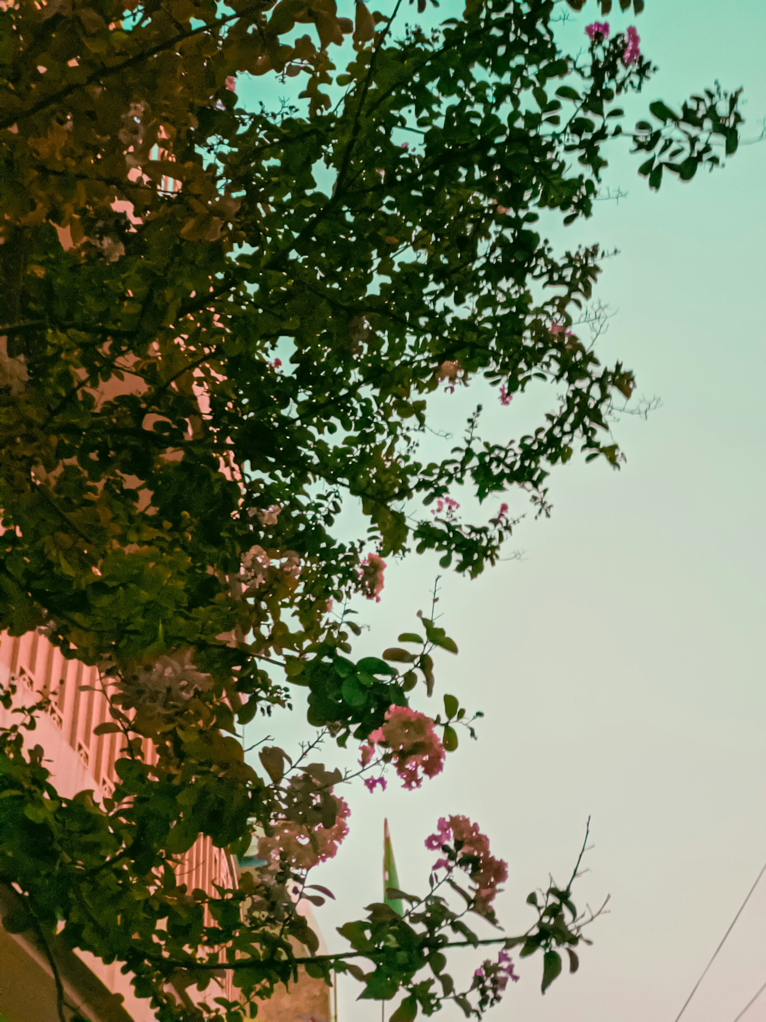 Photo by abdullahak47