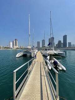 a group of boats in a harbor
