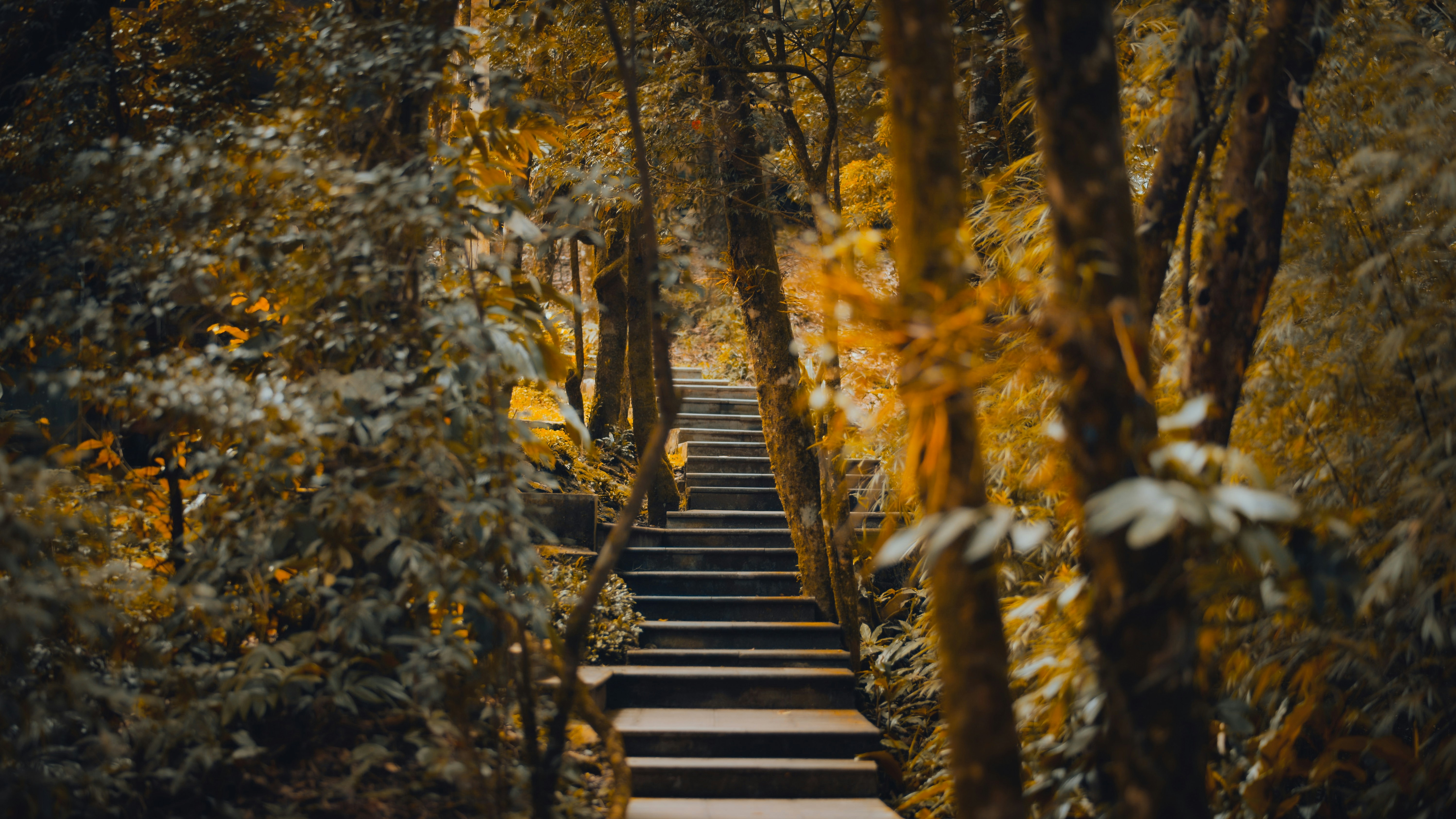 Photo by dying_apricity