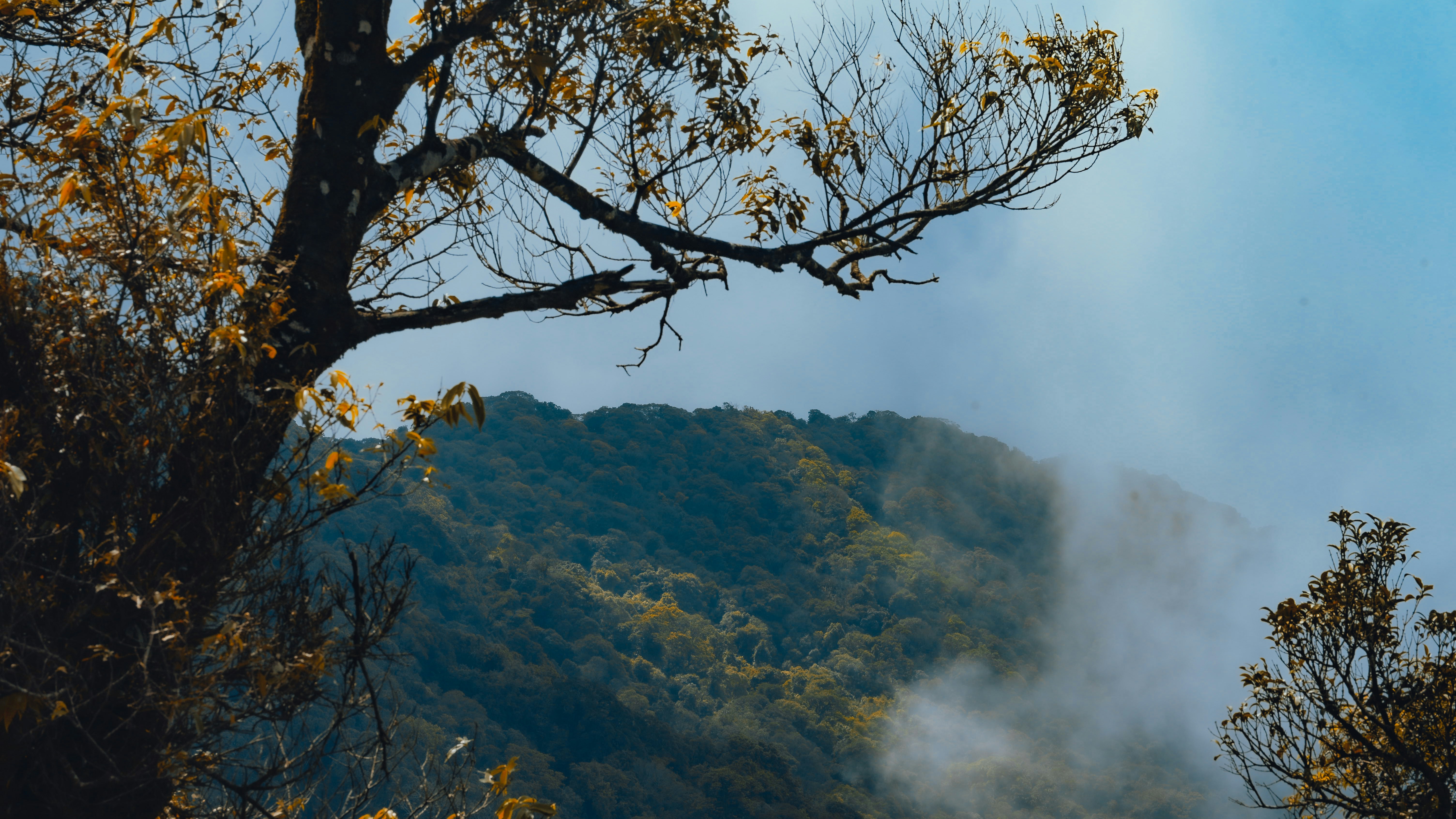 Photo by dying_apricity