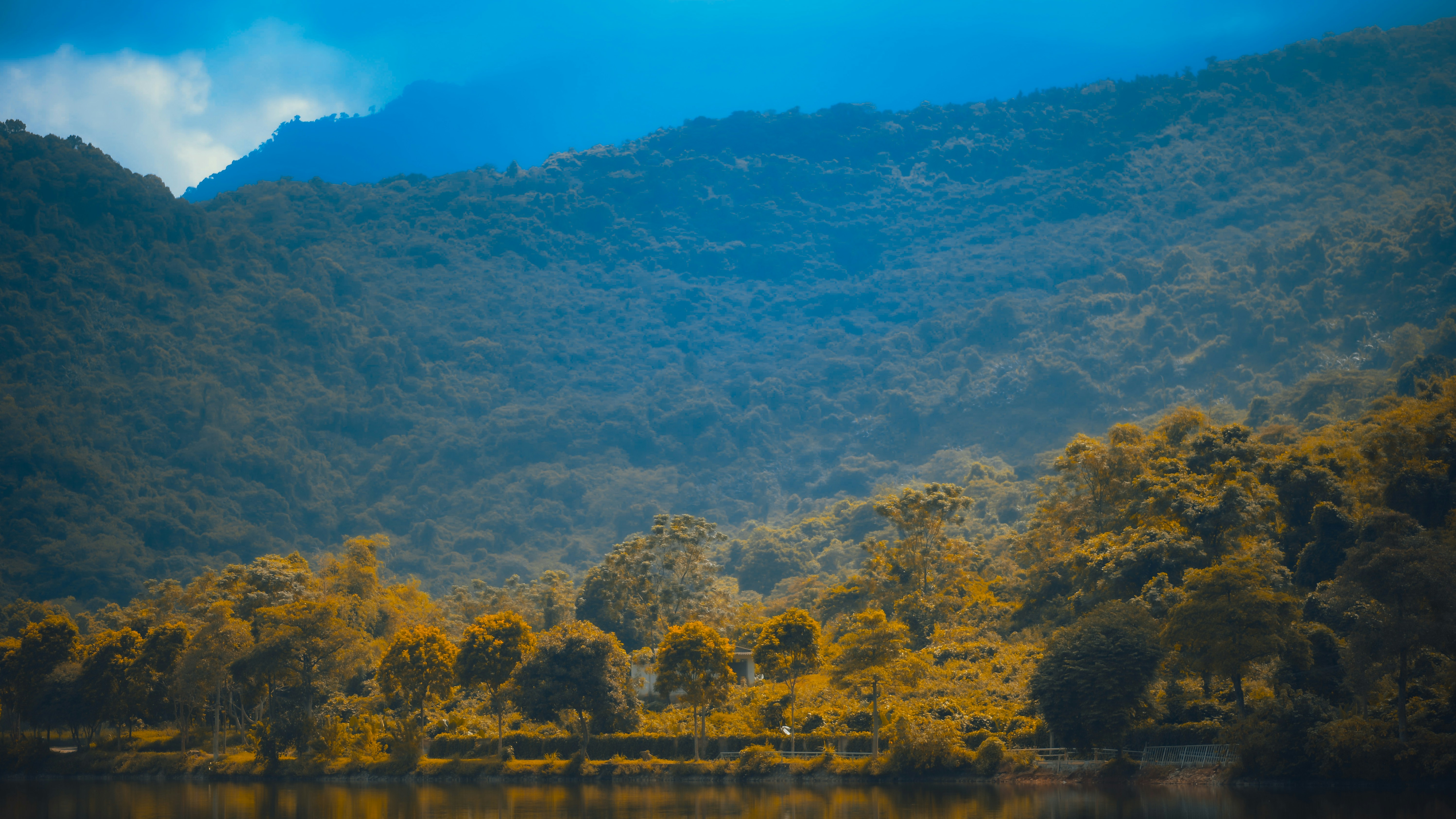 a body of water with trees and mountains in the background 풍경 사진