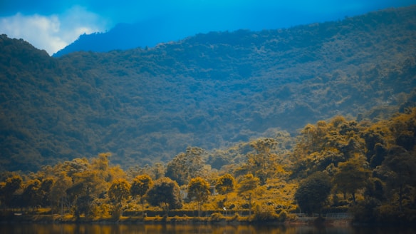 A serene landscape showcasing a dense forest with vibrant trees set against a backdrop of misty blue mountains under a partially clouded sky. The foreground features a tranquil lake reflecting the natural beauty and creating a peaceful ambiance.