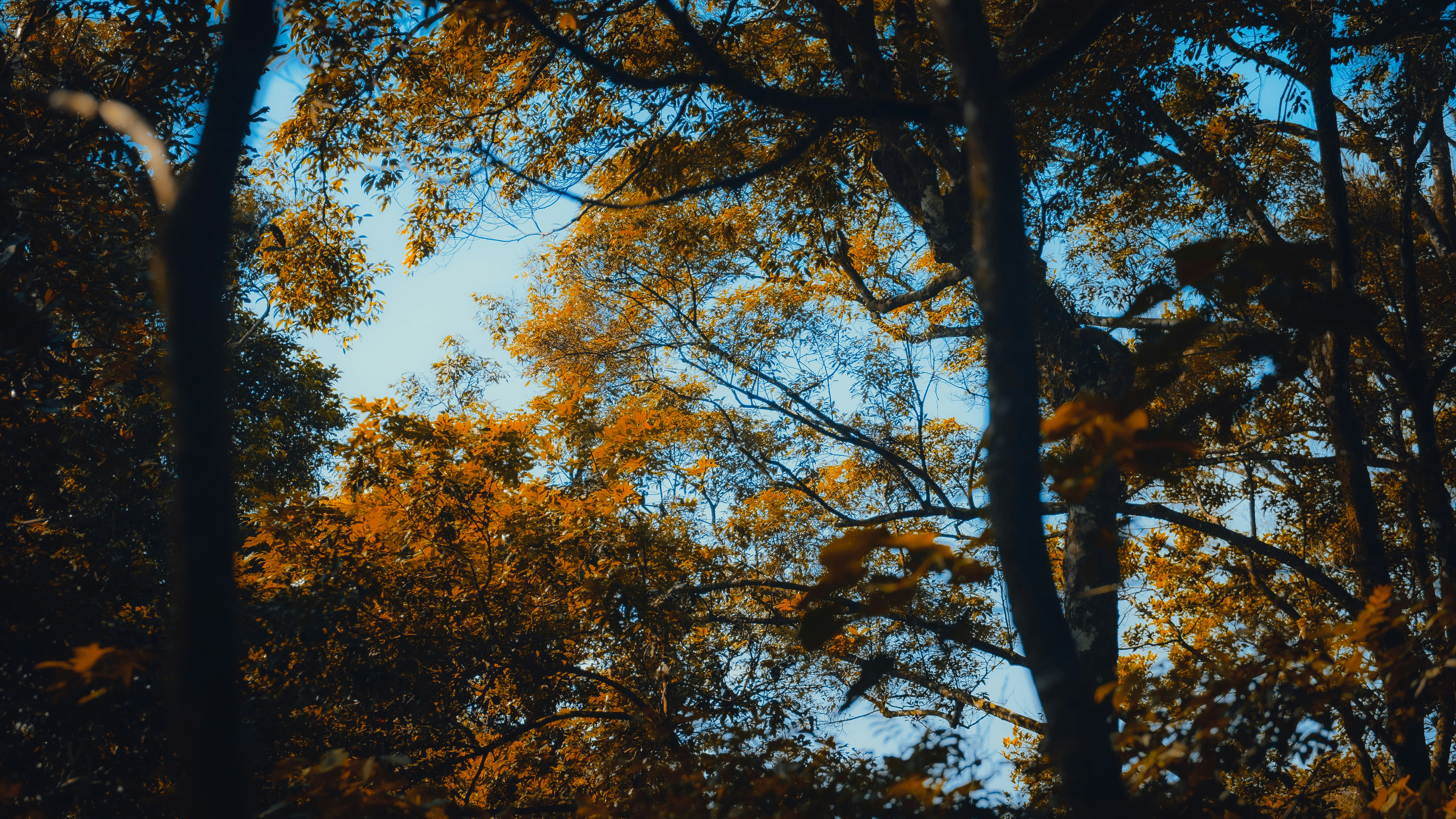 Photo by dying_apricity